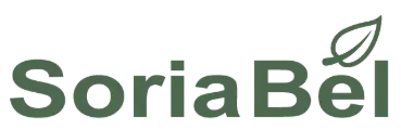 academy.soriabel.be